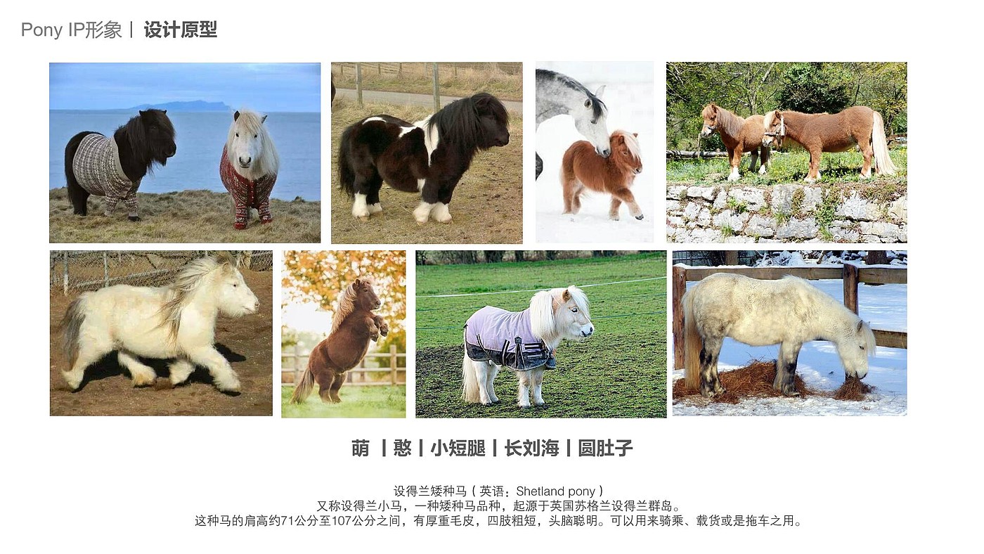 IP image，Enterprise image design，IP Design，