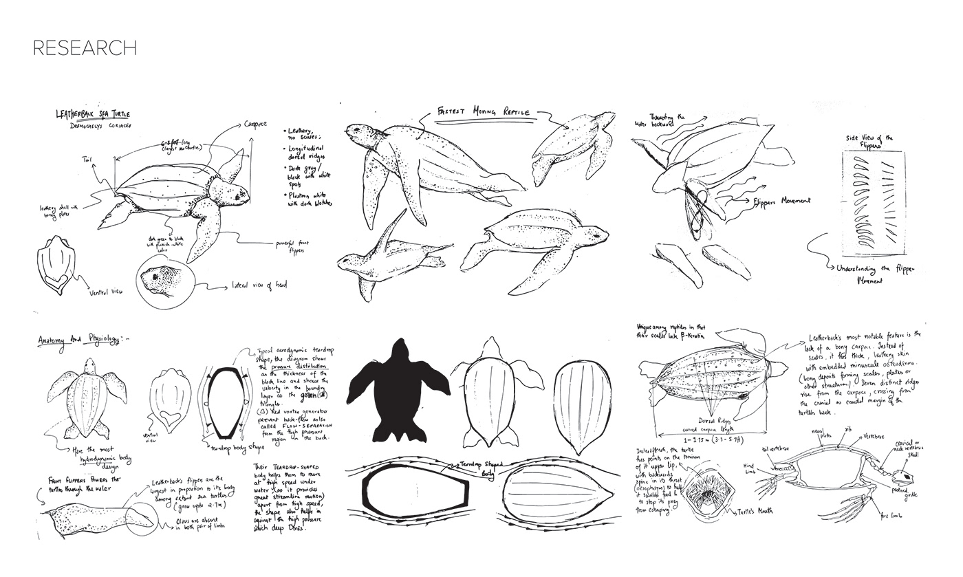 FORM STUDIES : Leatherback Sea Turtle - 普象网