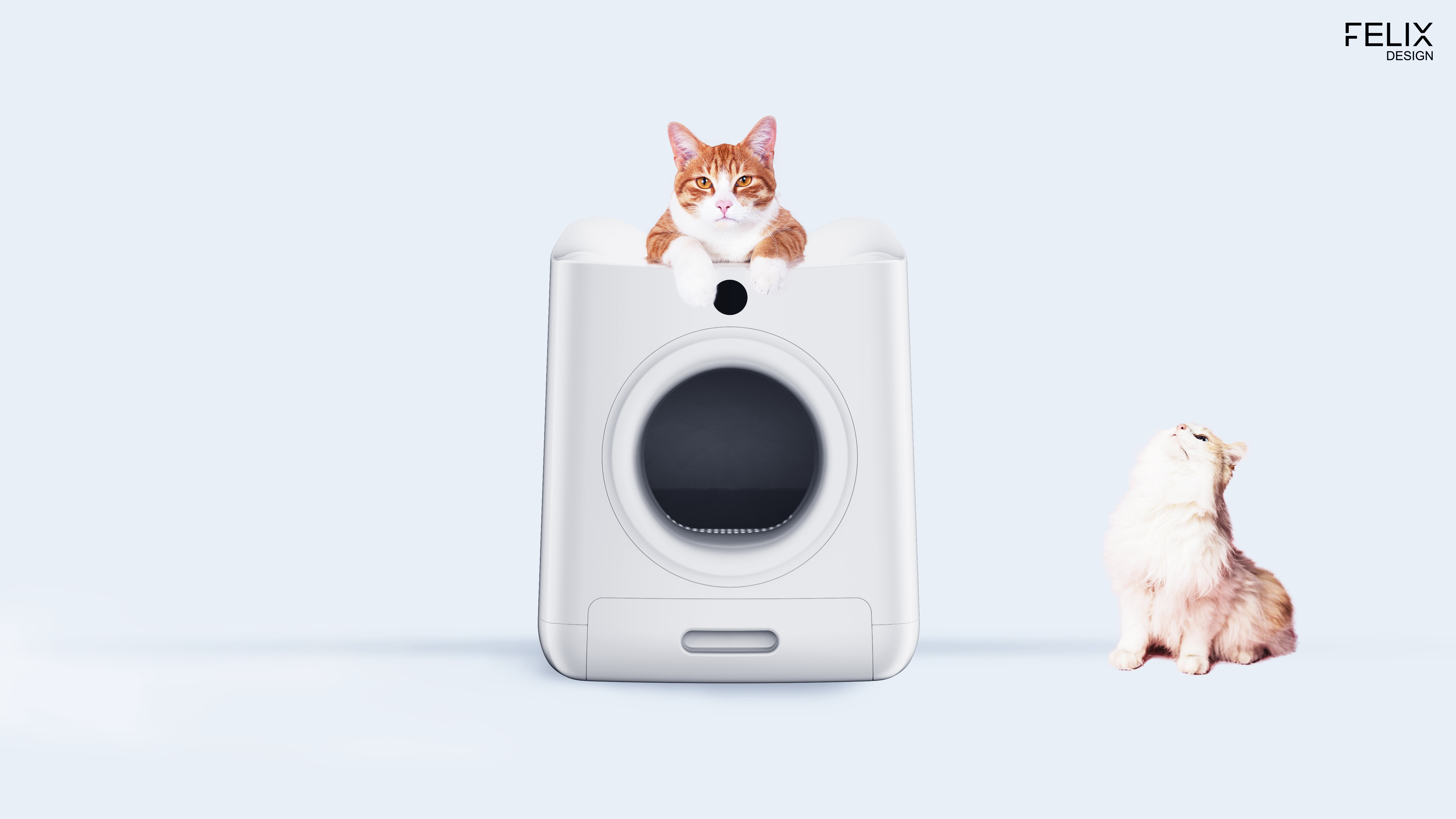 Litter Basin，cat，Pet Supplies & Pet，