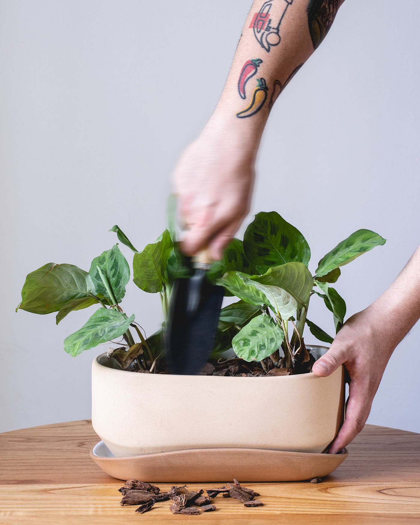 Ceramic flowerpot，Home Furnishing，decorate，