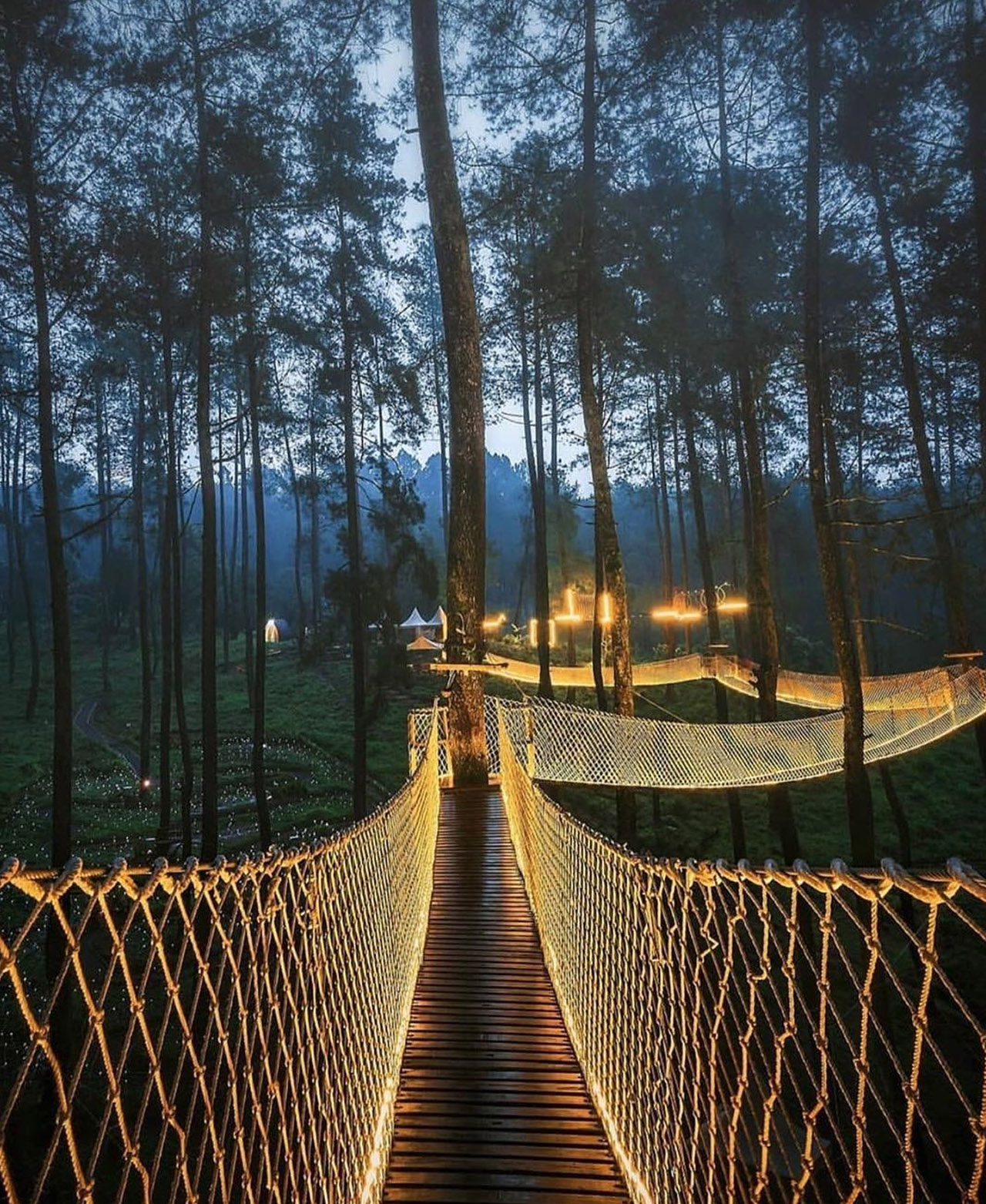 bridge，lighting，originality，