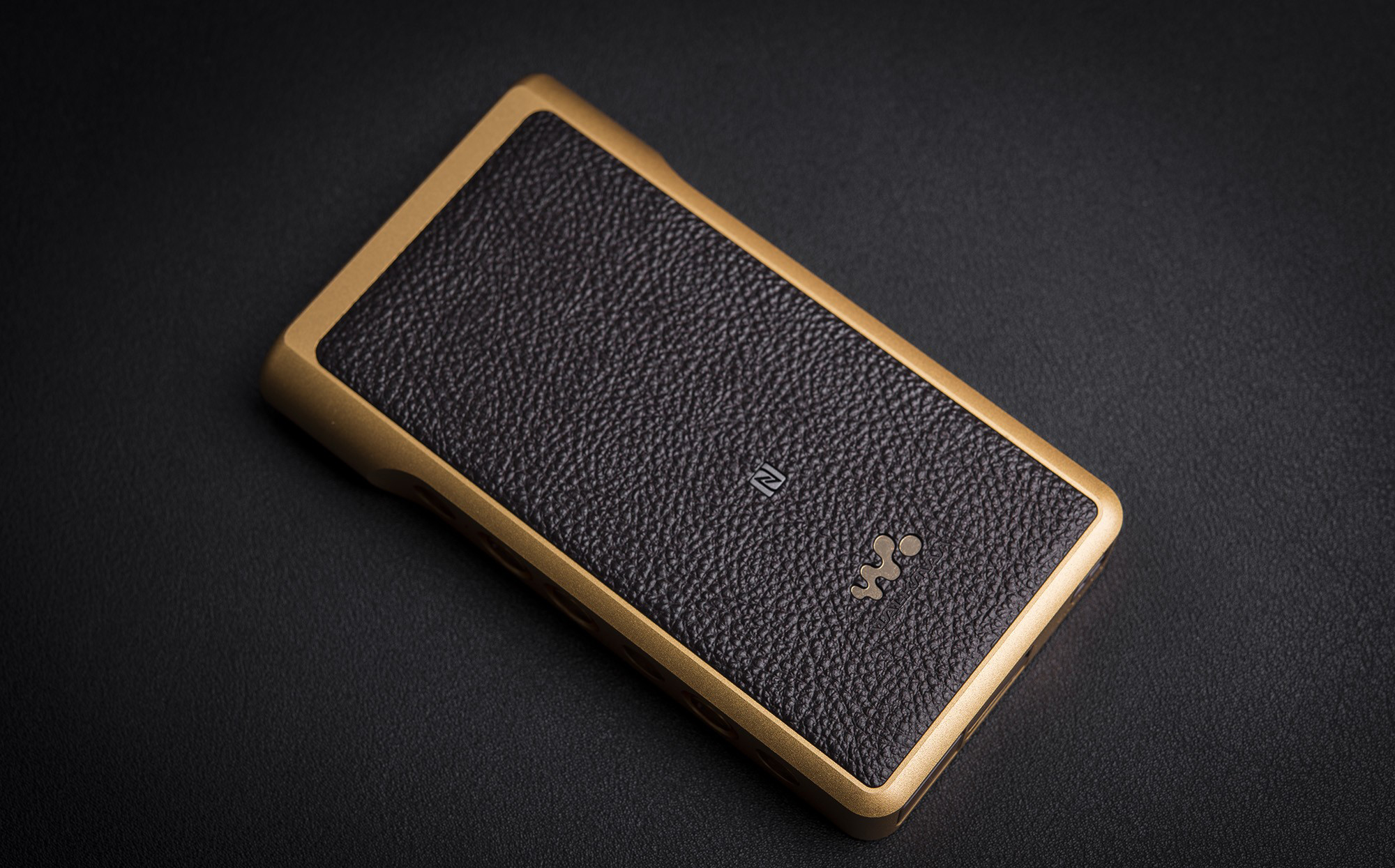 walkman nw-wm1，Audio player，2017 red dot，