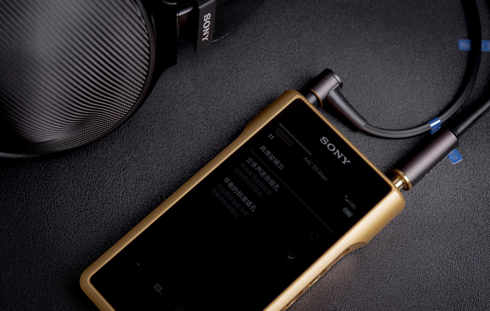 walkman nw-wm1，Audio player，2017 red dot，