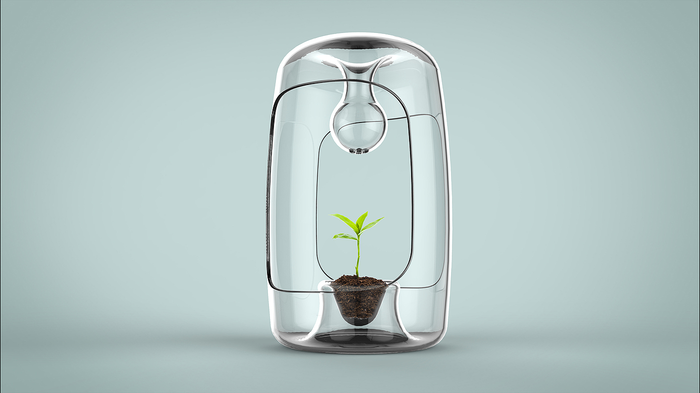 environment protection，healthy，furniture，plant，Botany，window，Vegetables，