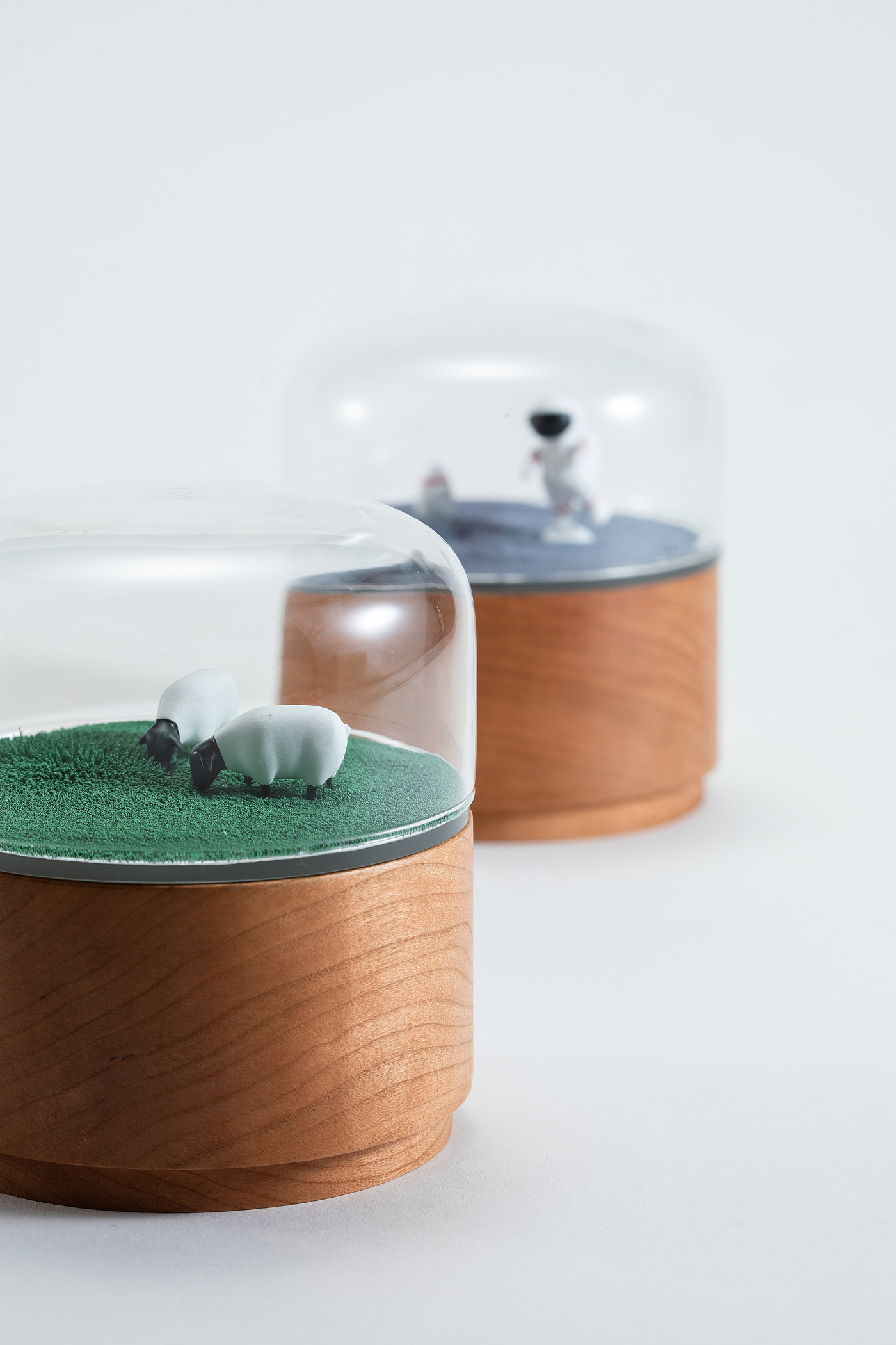 Music box，Space，ocean，Grassland，
