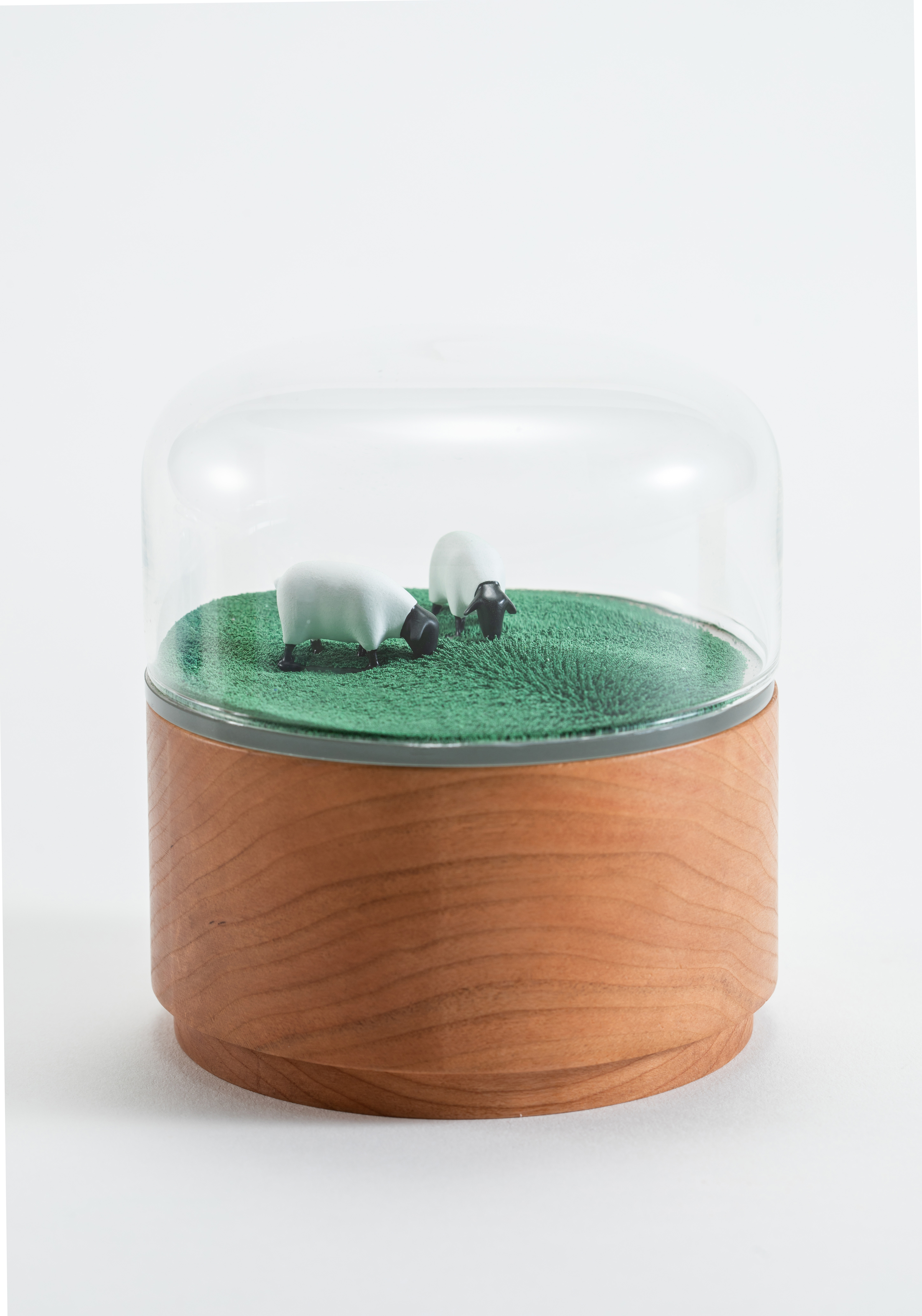 Music box，Space，ocean，Grassland，