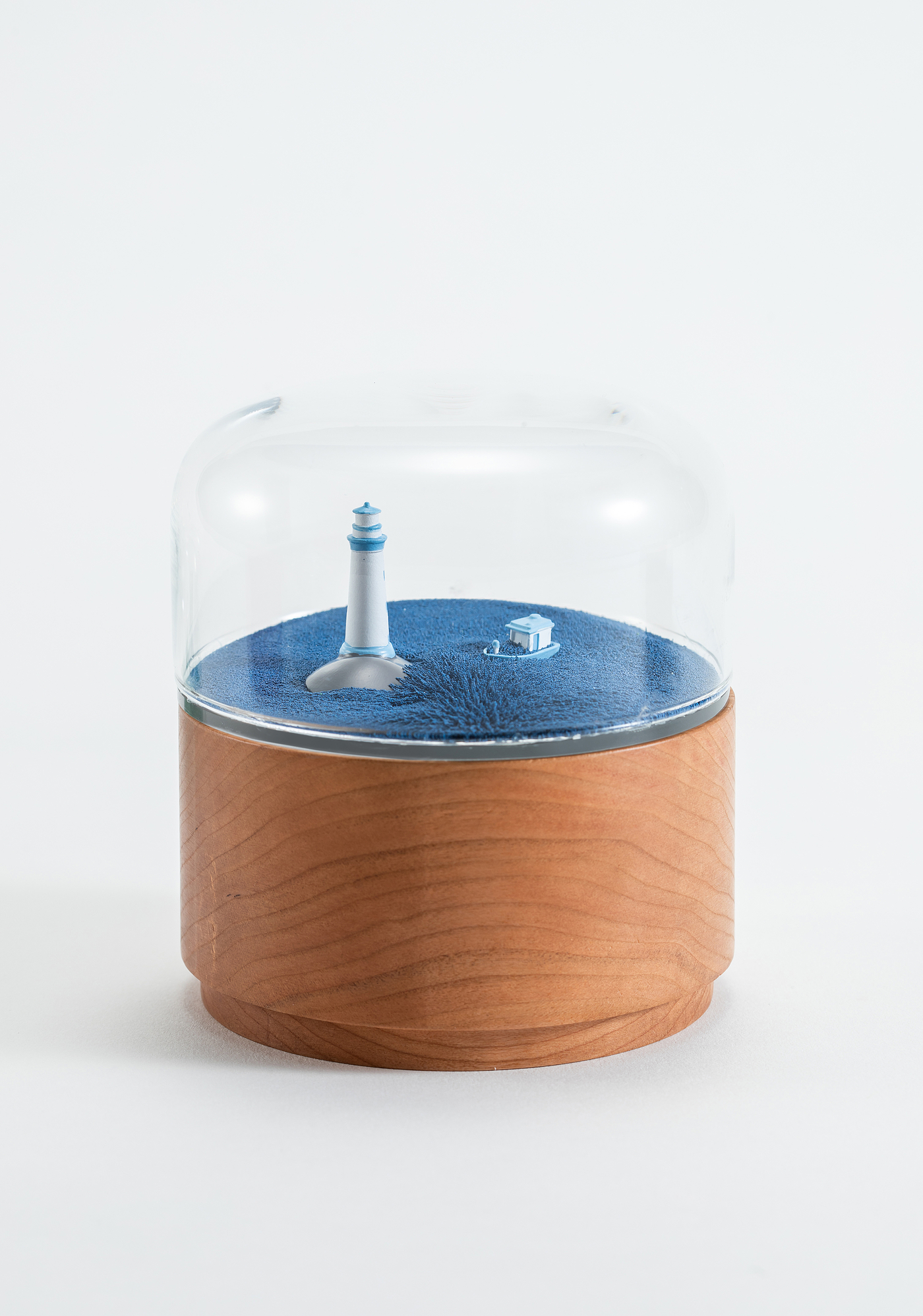 Music box，Space，ocean，Grassland，