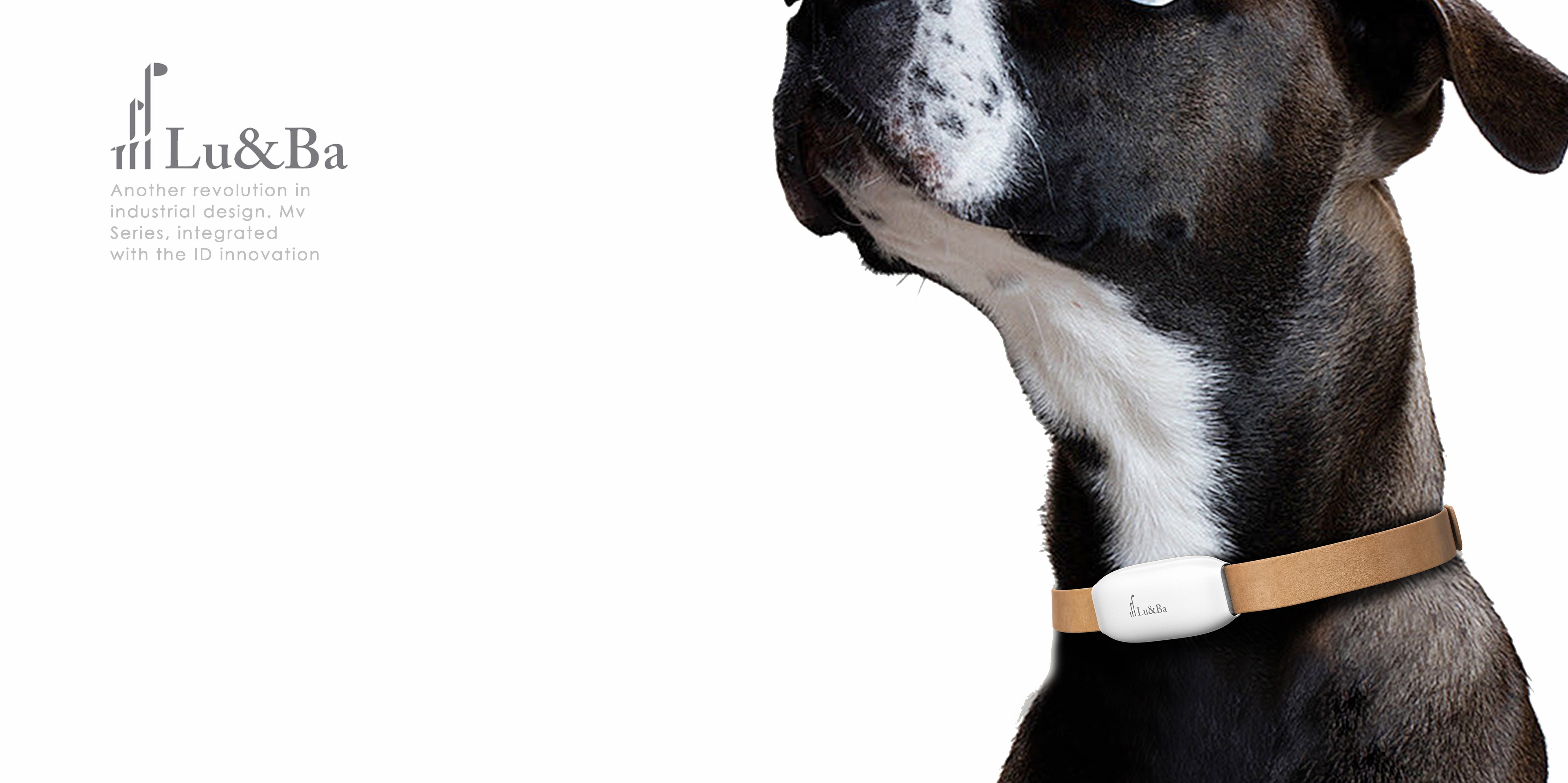 Pet products，Series products，