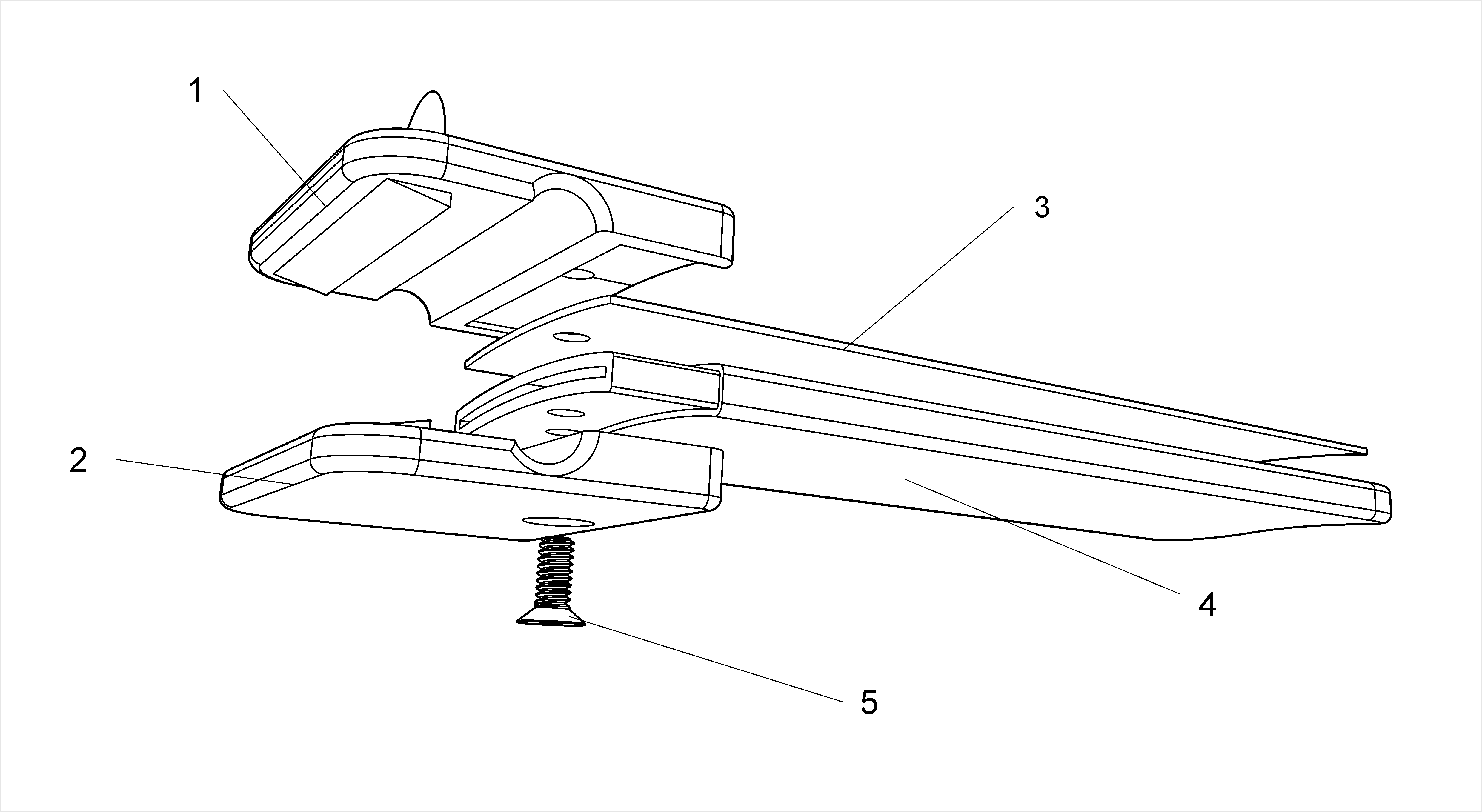 binding，Reel，lovely，