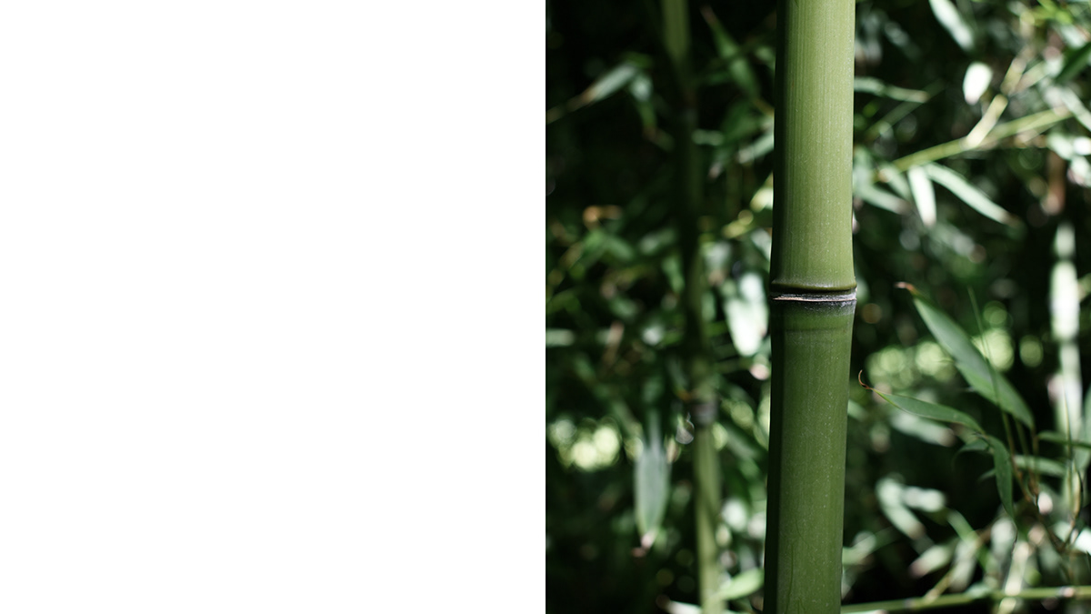 B MUG，Vessel design，Glass，