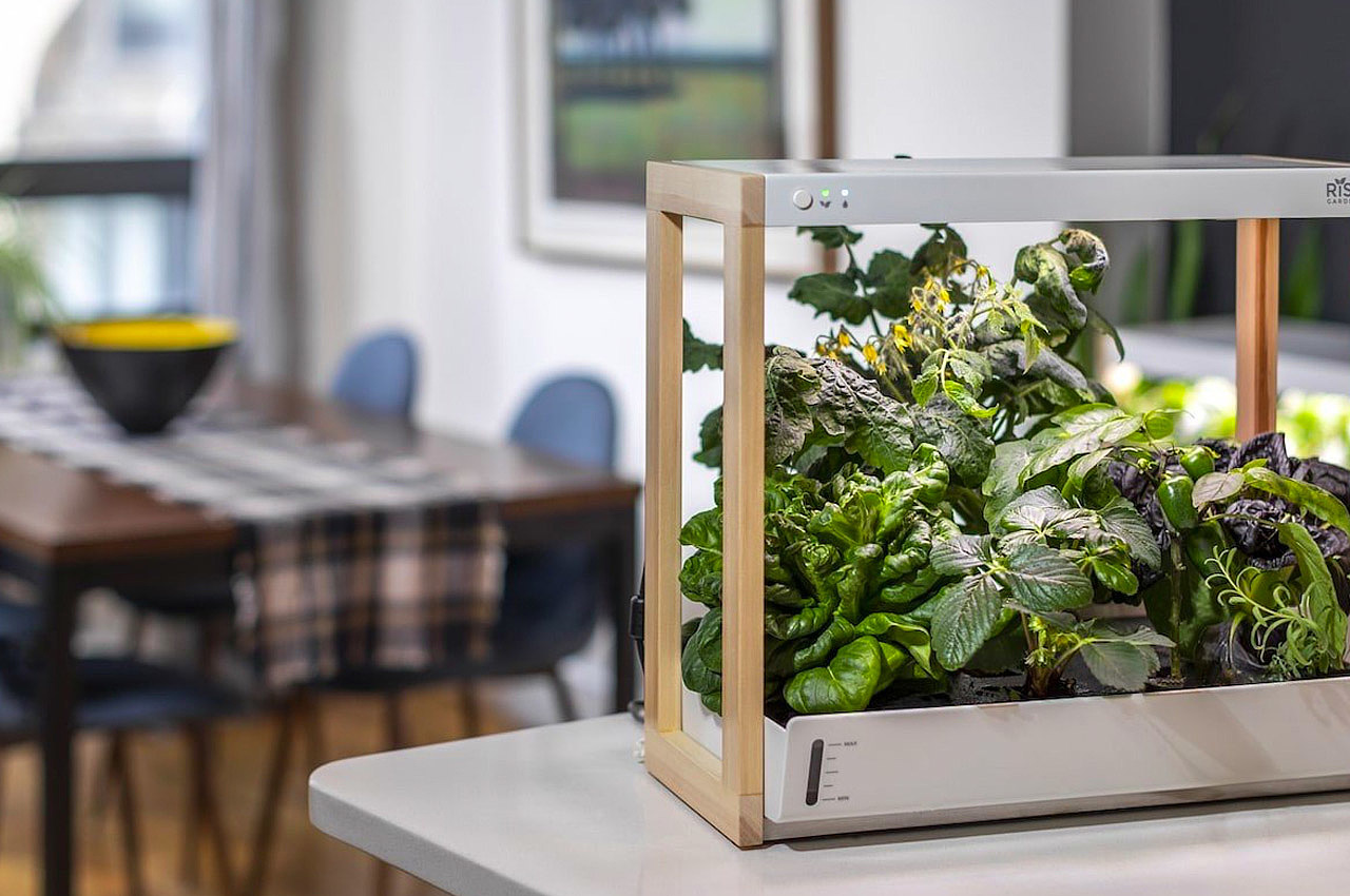 kitchenware，Green design，intelligence，