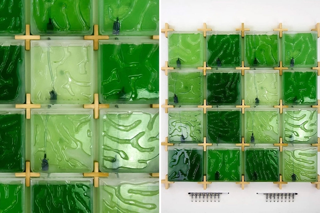 kitchenware，Green design，intelligence，