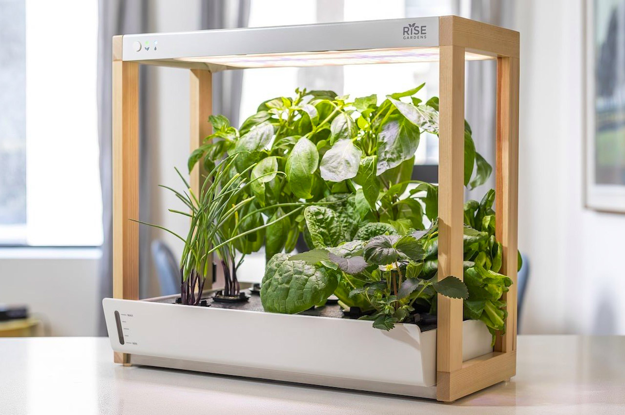 kitchenware，Green design，intelligence，