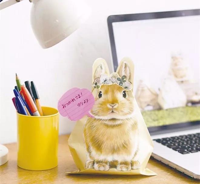 Brain hole，Japan，K-on，One Piece，Design，