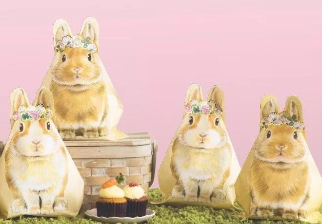 Brain hole，Japan，K-on，One Piece，Design，