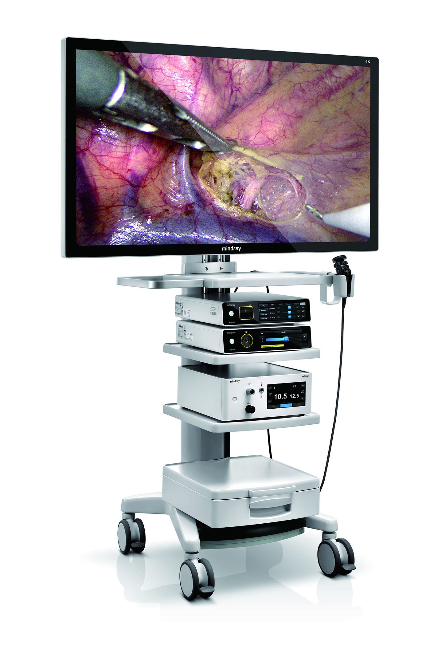 Endoscope，4K，2021 red dot product design award，