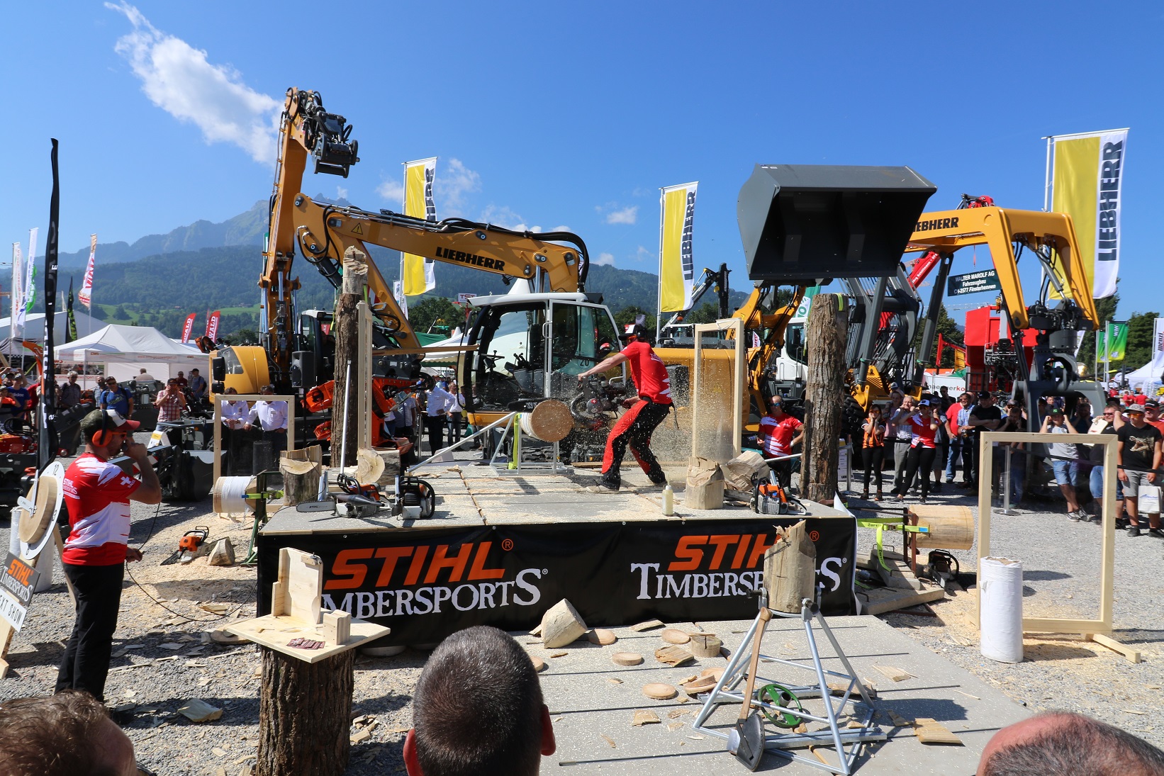 2017 red dot，Heavy equipment，L 580，LogHandler XPo，