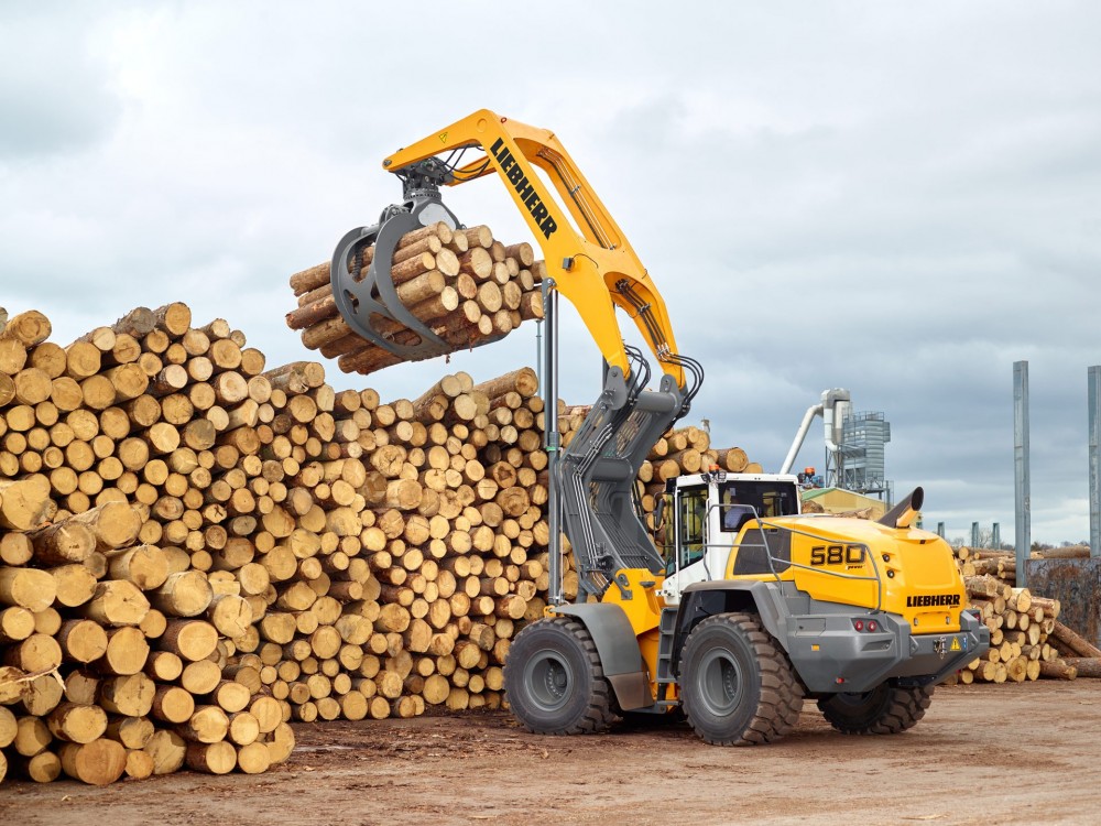 2017 red dot，Heavy equipment，L 580，LogHandler XPo，