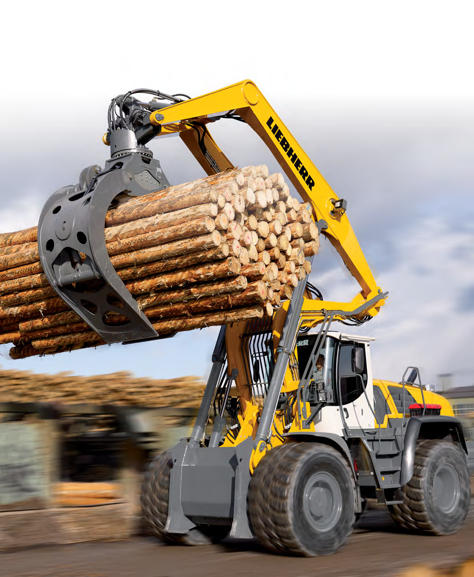 2017 red dot，Heavy equipment，L 580，LogHandler XPo，