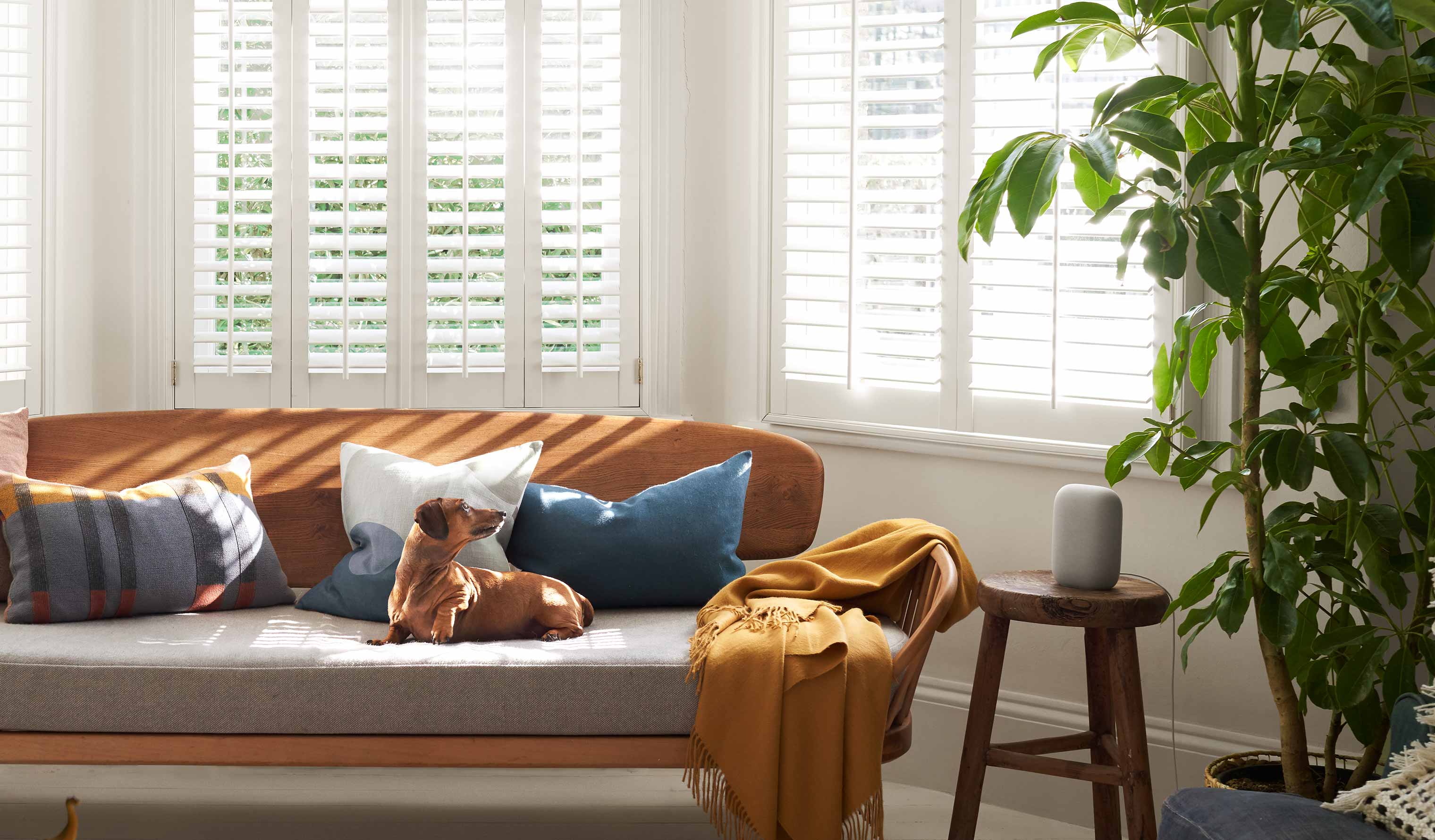 Thermostat，energy，2021 red dot product design award，