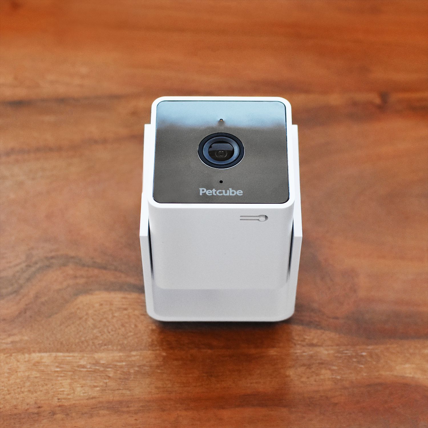 2021 red dot product design award，Petcube Cam，camera，Pets，