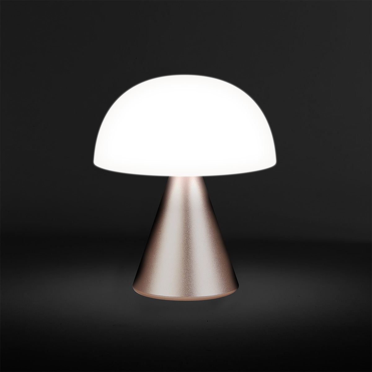 Desk lamp，portability，2021 red dot product design award，