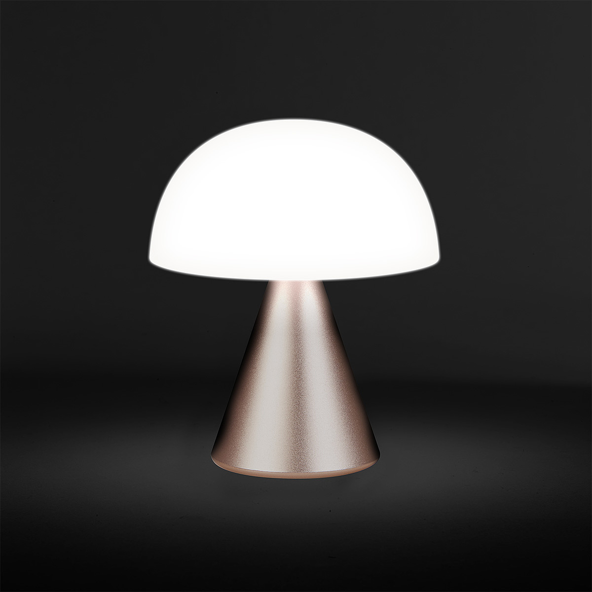 Desk lamp，portability，2021 red dot product design award，