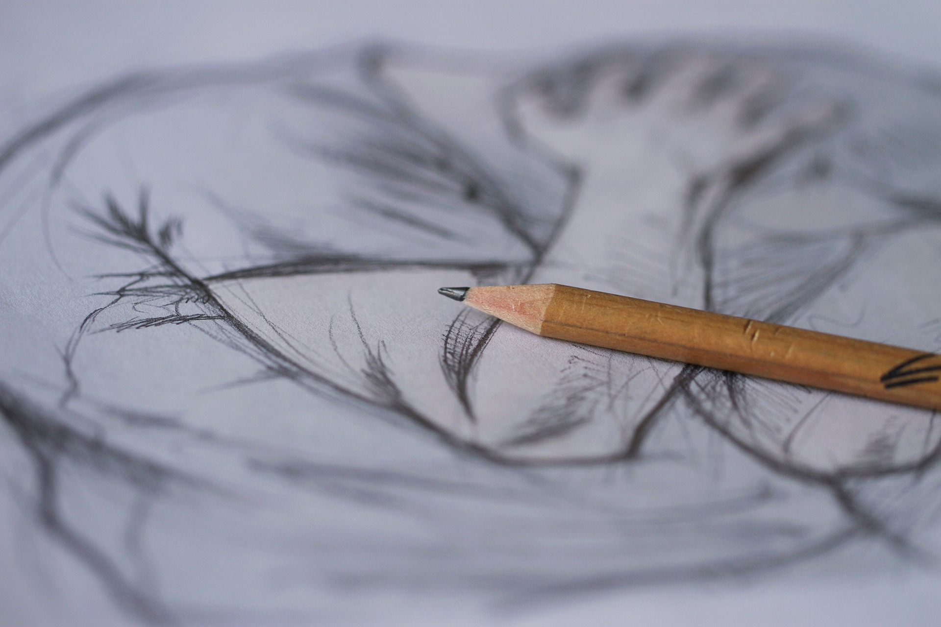 painting，other，ps，Photography，lover，daughter，originality，