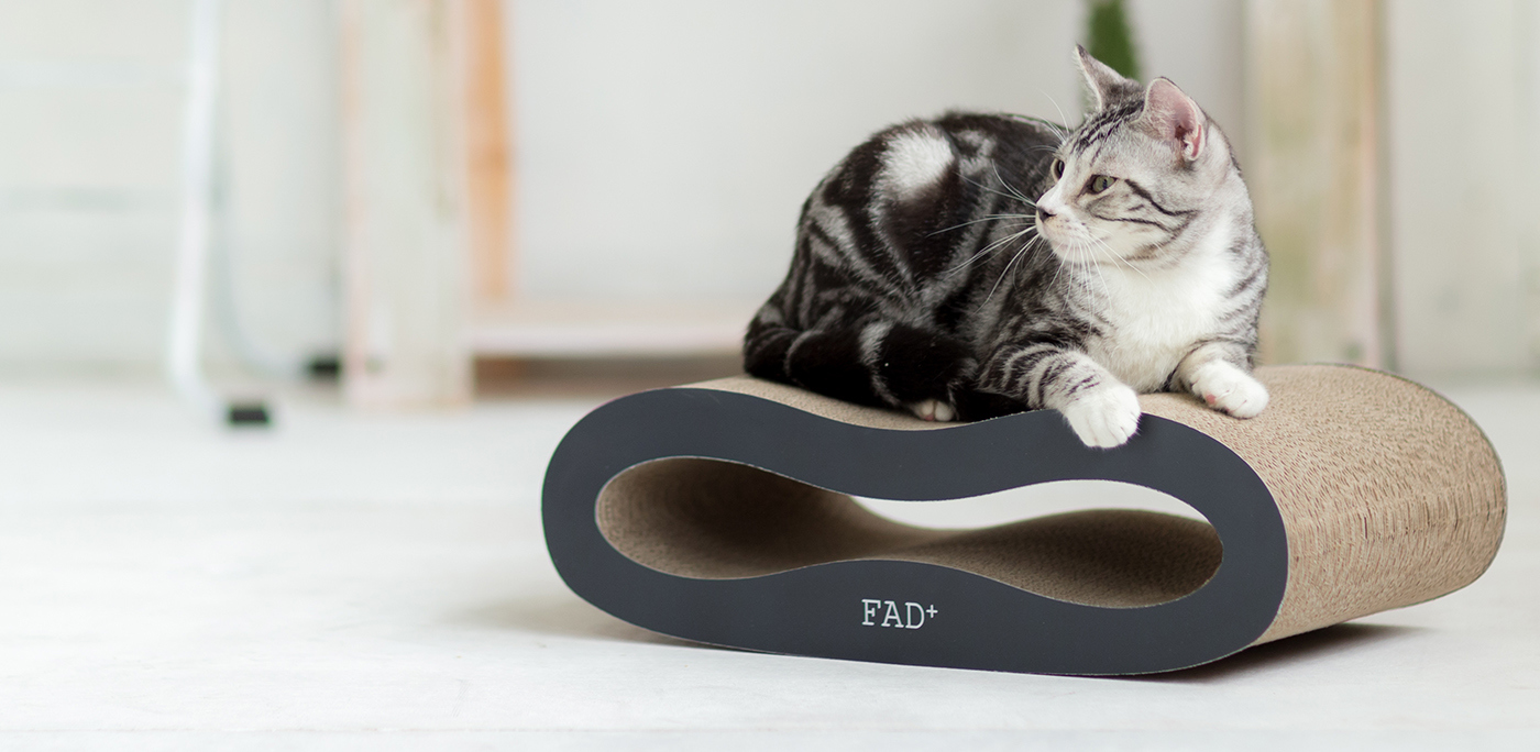 Appearance design，