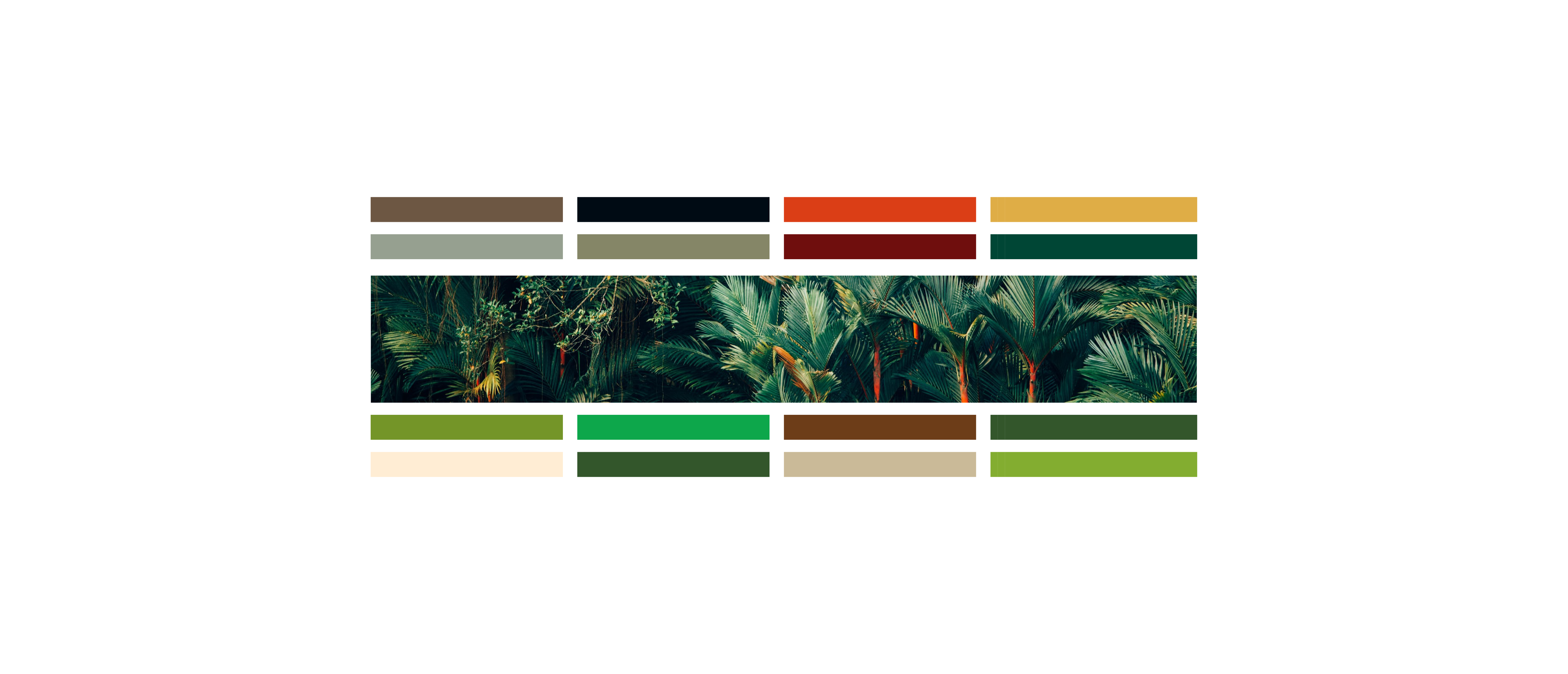 FOOD，Tropical，coconut，beach，MEXICO，fresh，healthy，