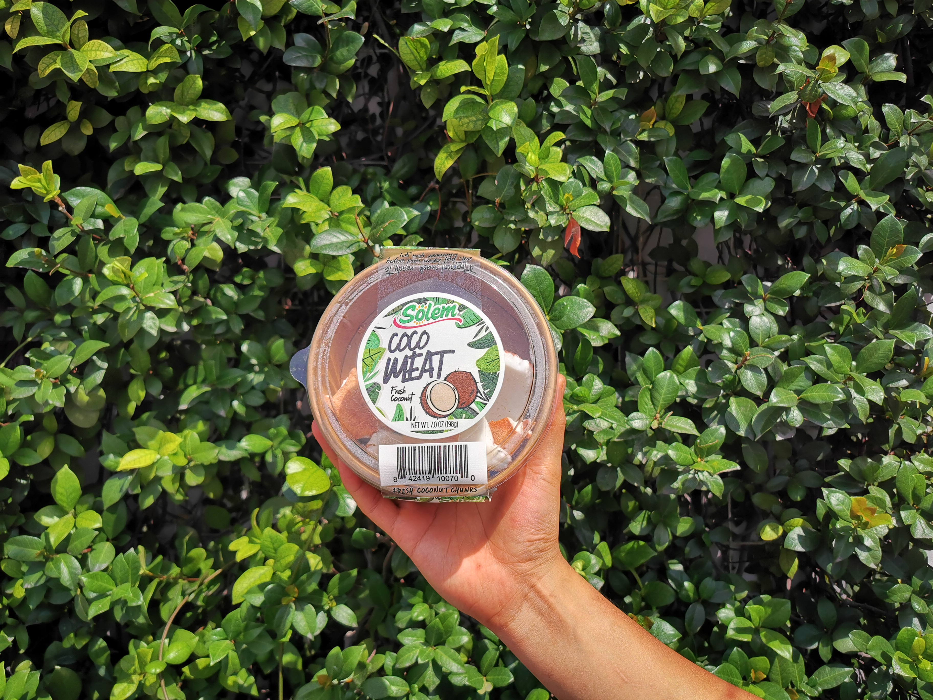 FOOD，Tropical，coconut，beach，MEXICO，fresh，healthy，