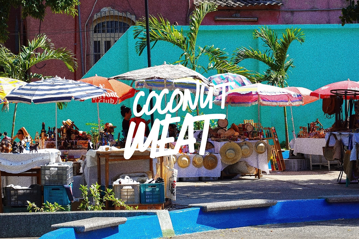 FOOD，Tropical，coconut，beach，MEXICO，fresh，healthy，