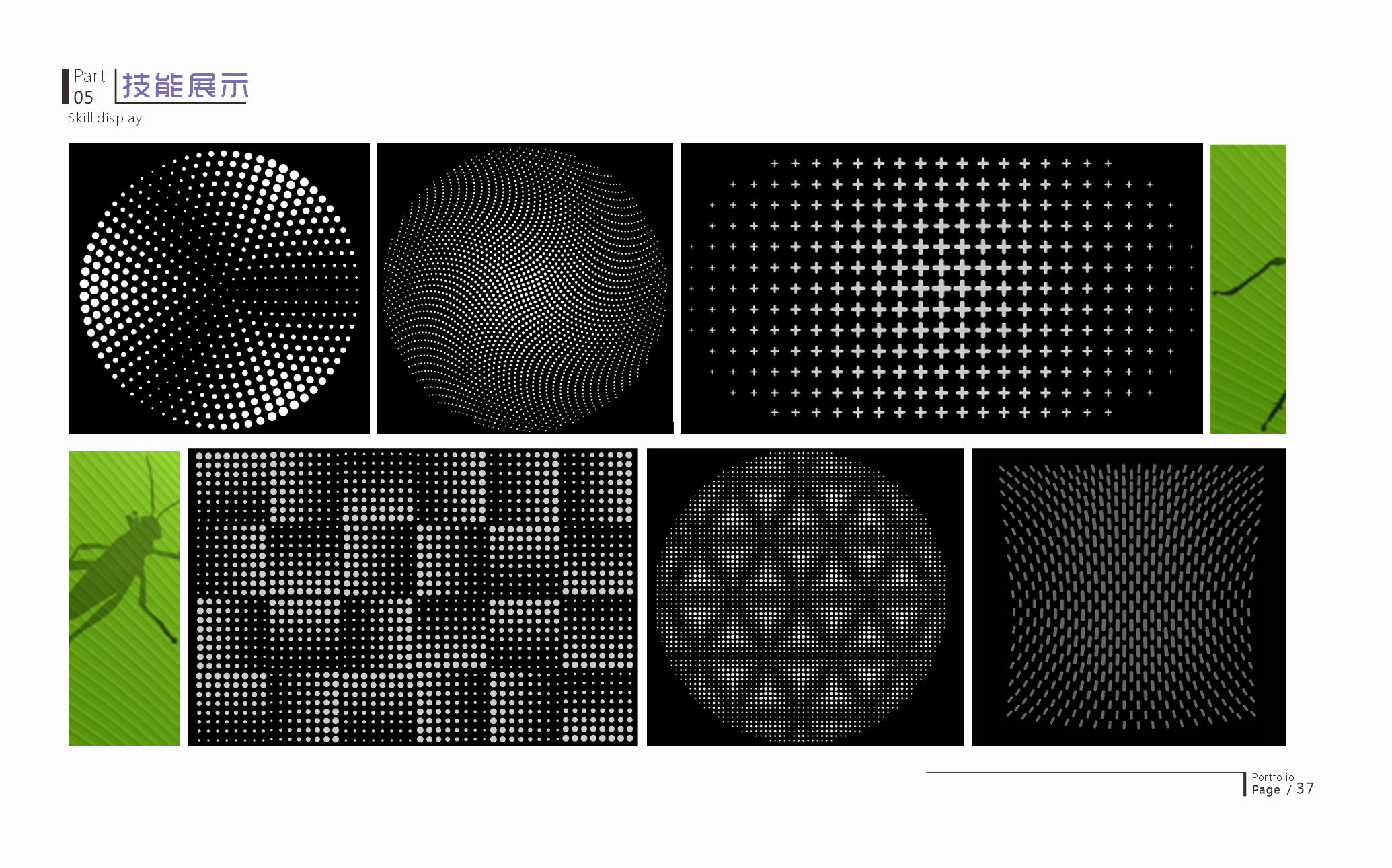 sample reels，Internship，