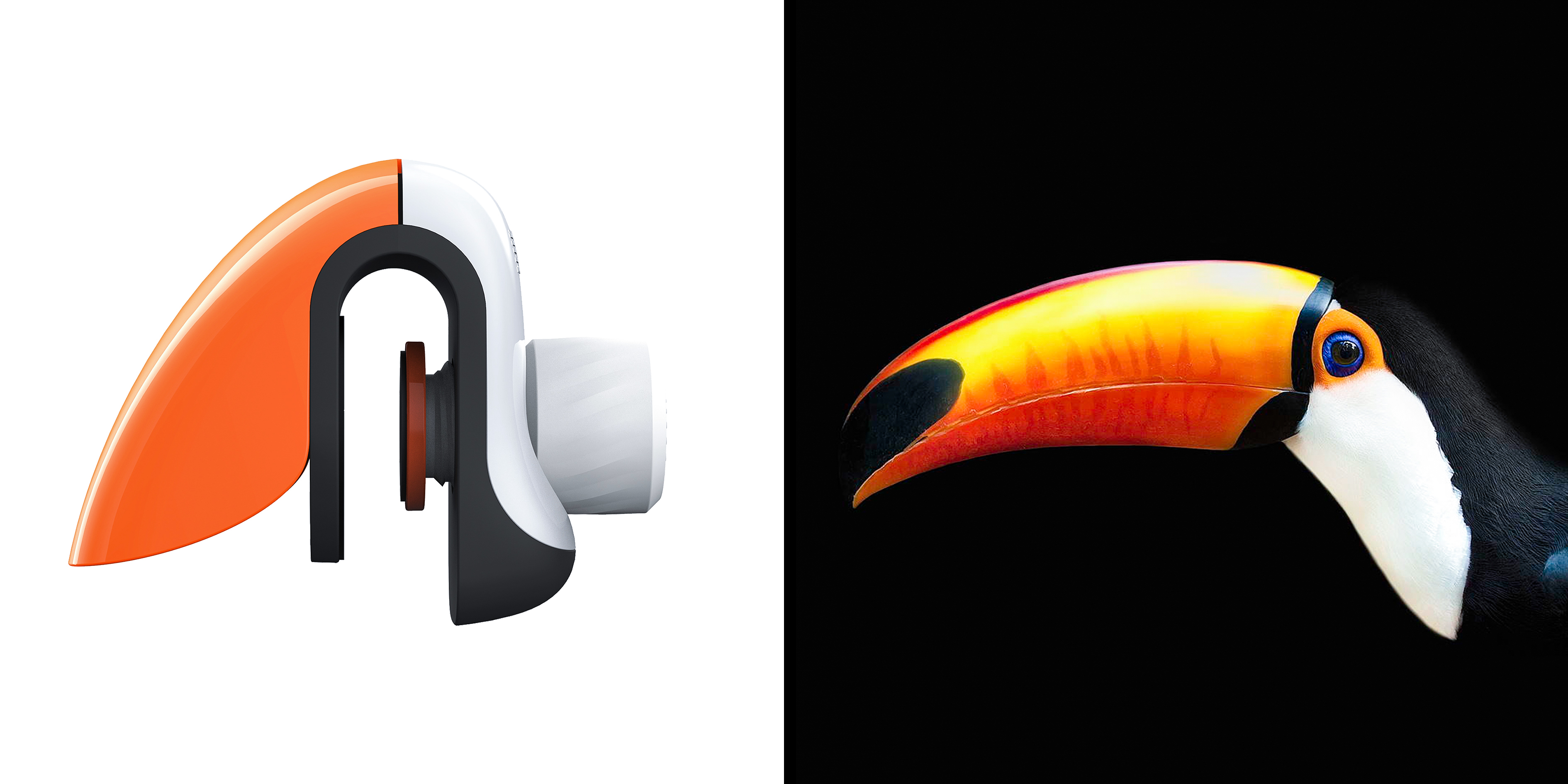 Online education，Fine Arts，study，train，distance learning，