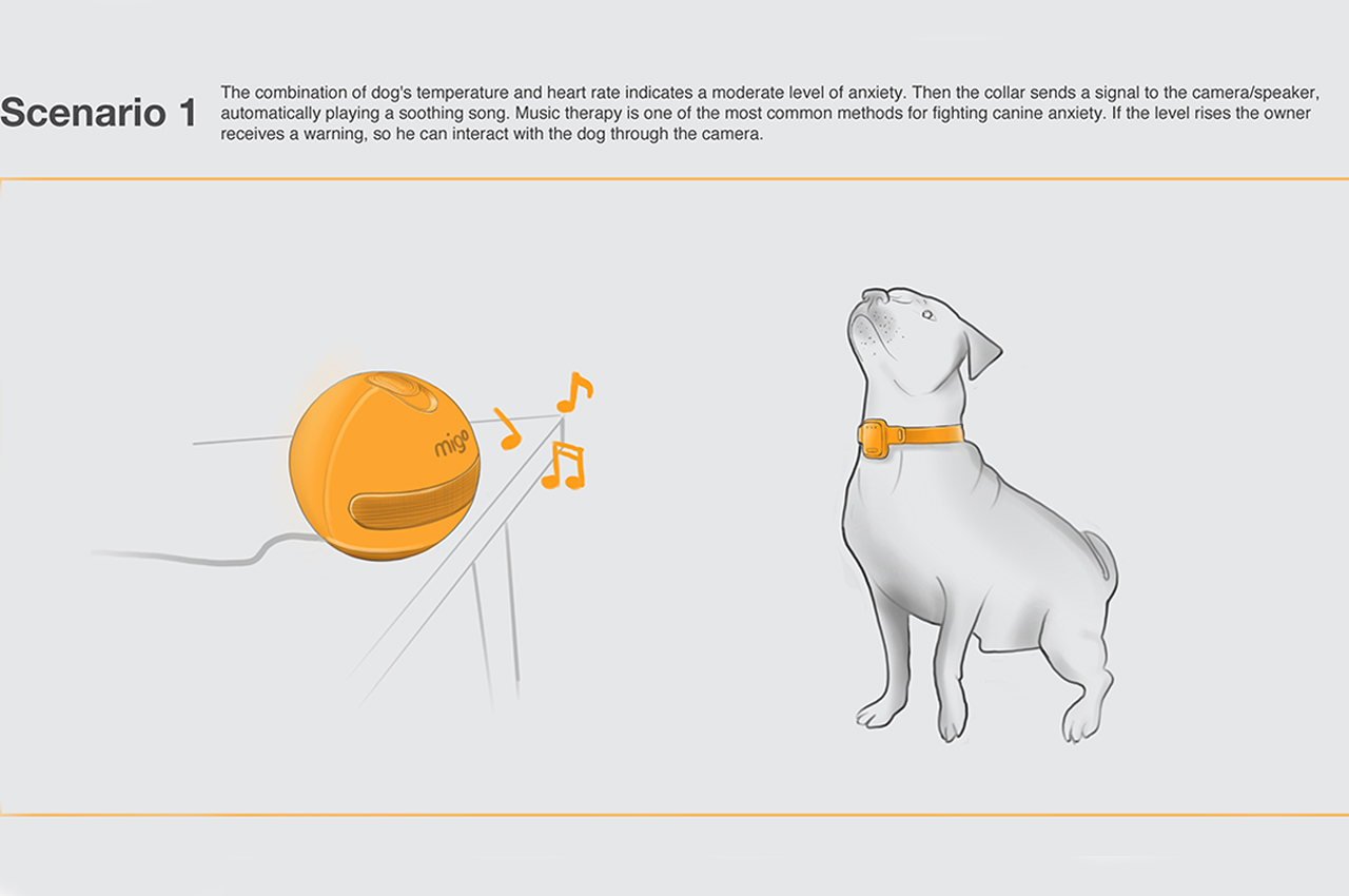 Internet of things，Pet equipment，intelligence，amigo，application program，