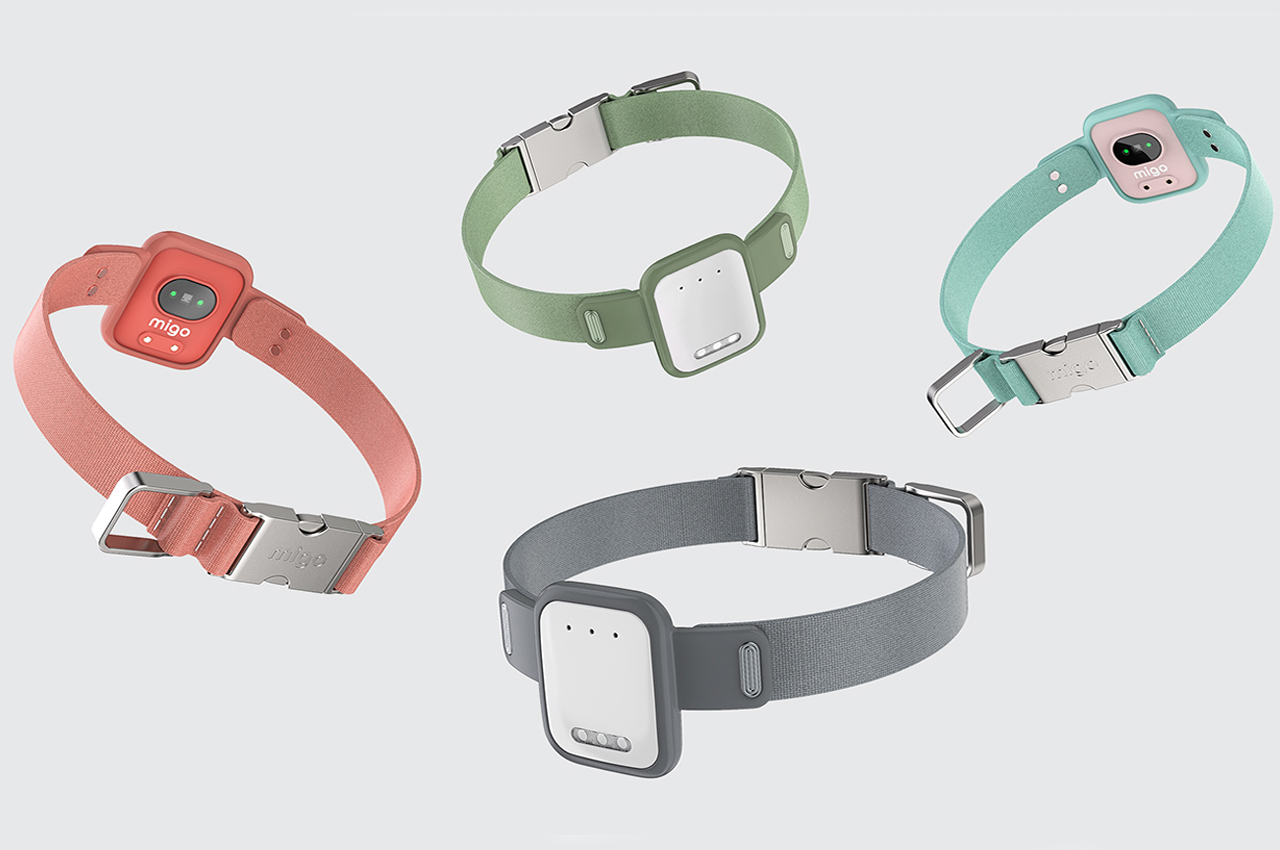 Internet of things，Pet equipment，intelligence，amigo，application program，