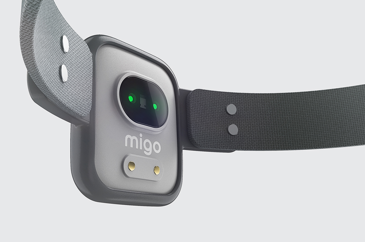 Internet of things，Pet equipment，intelligence，amigo，application program，