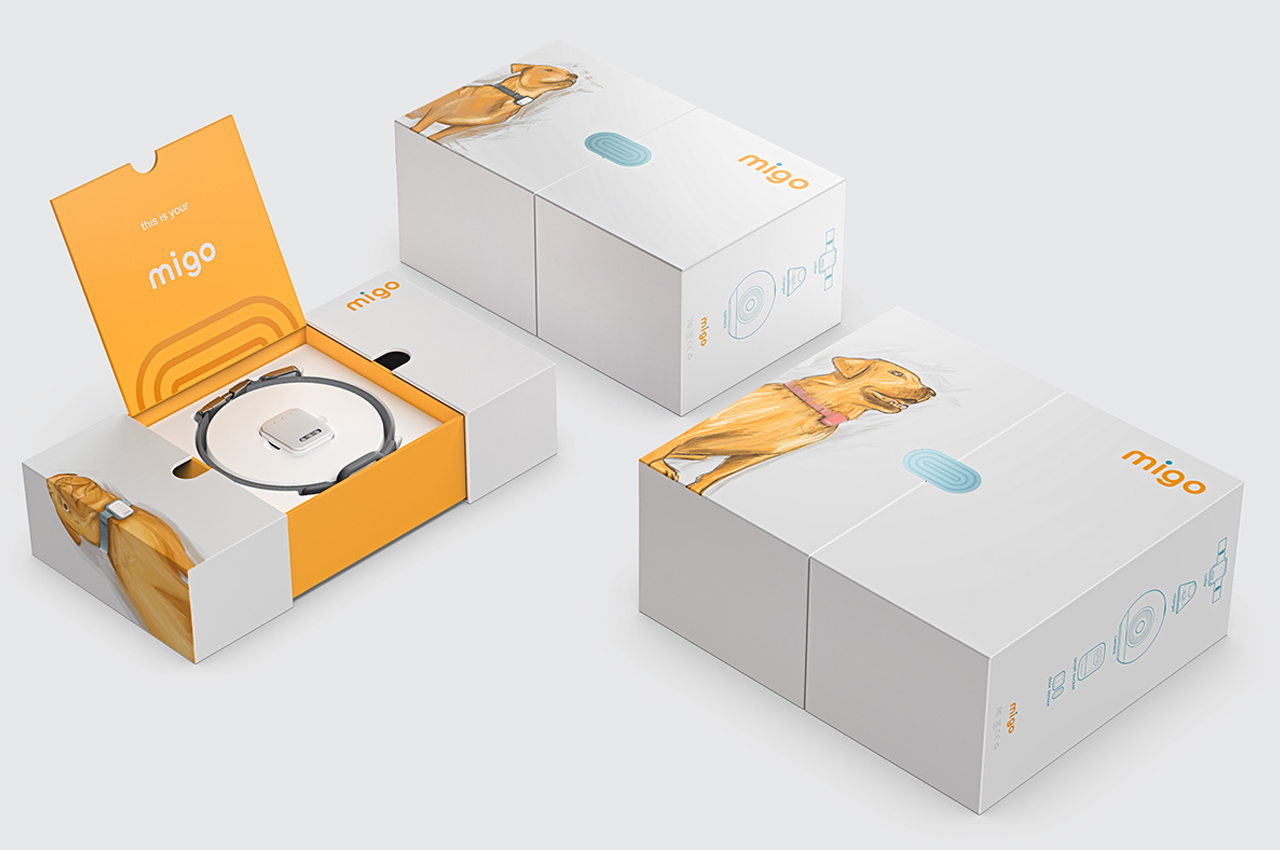 Internet of things，Pet equipment，intelligence，amigo，application program，