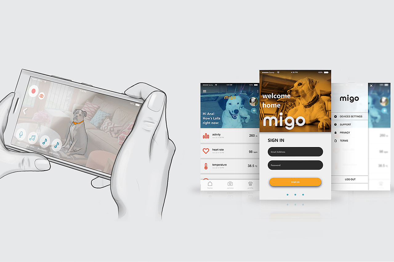 Internet of things，Pet equipment，intelligence，amigo，application program，