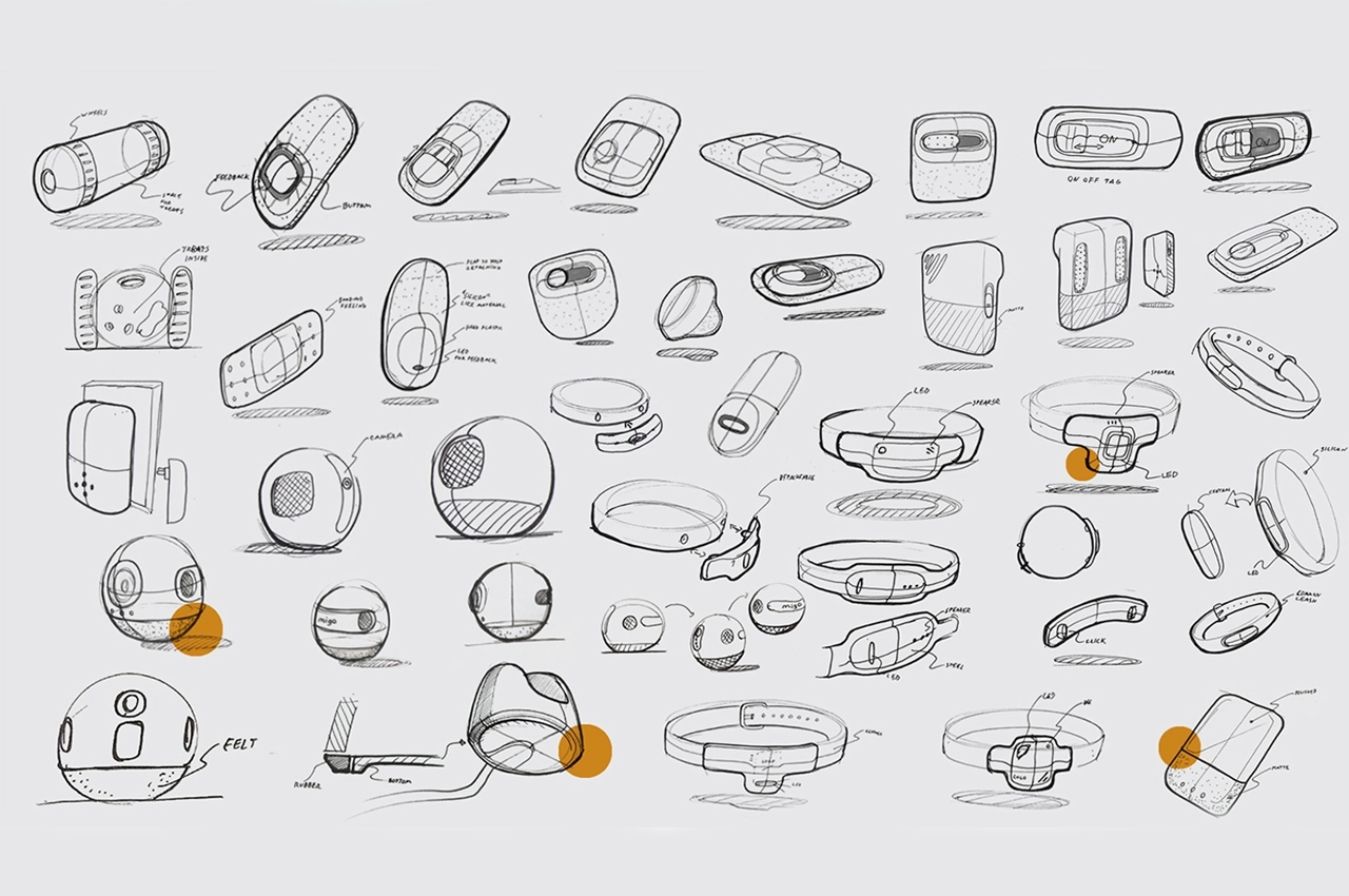 Internet of things，Pet equipment，intelligence，amigo，application program，