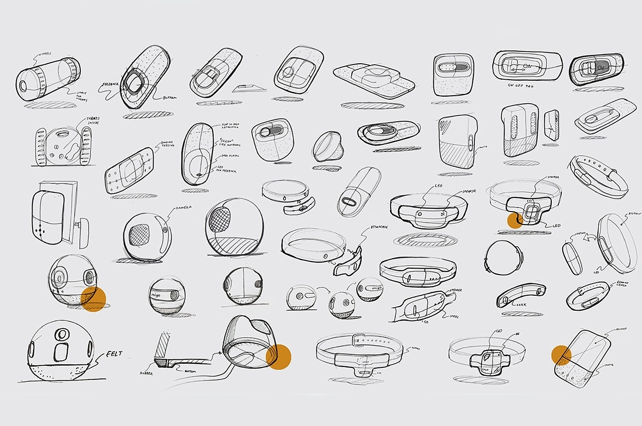 Internet of things，Pet equipment，intelligence，amigo，application program，