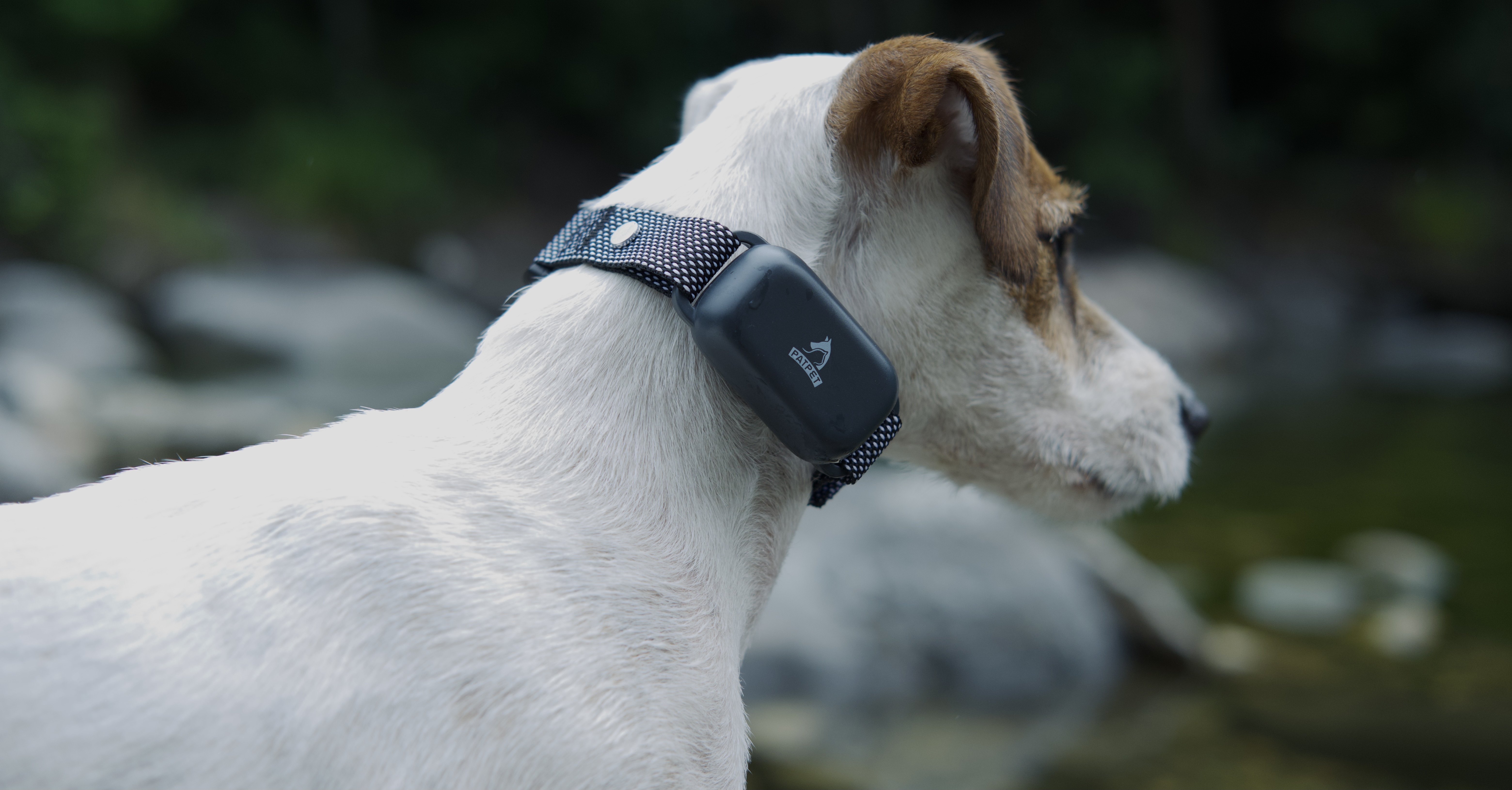 Dog trainer，Dog training collar，Electric shock collar，Pet Supplies & Pet，Original design，Original video，