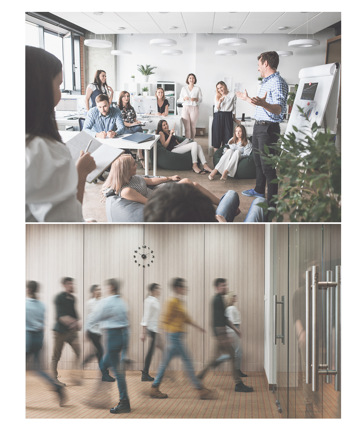 work area，flexibility，creativity，AREA FLIP，