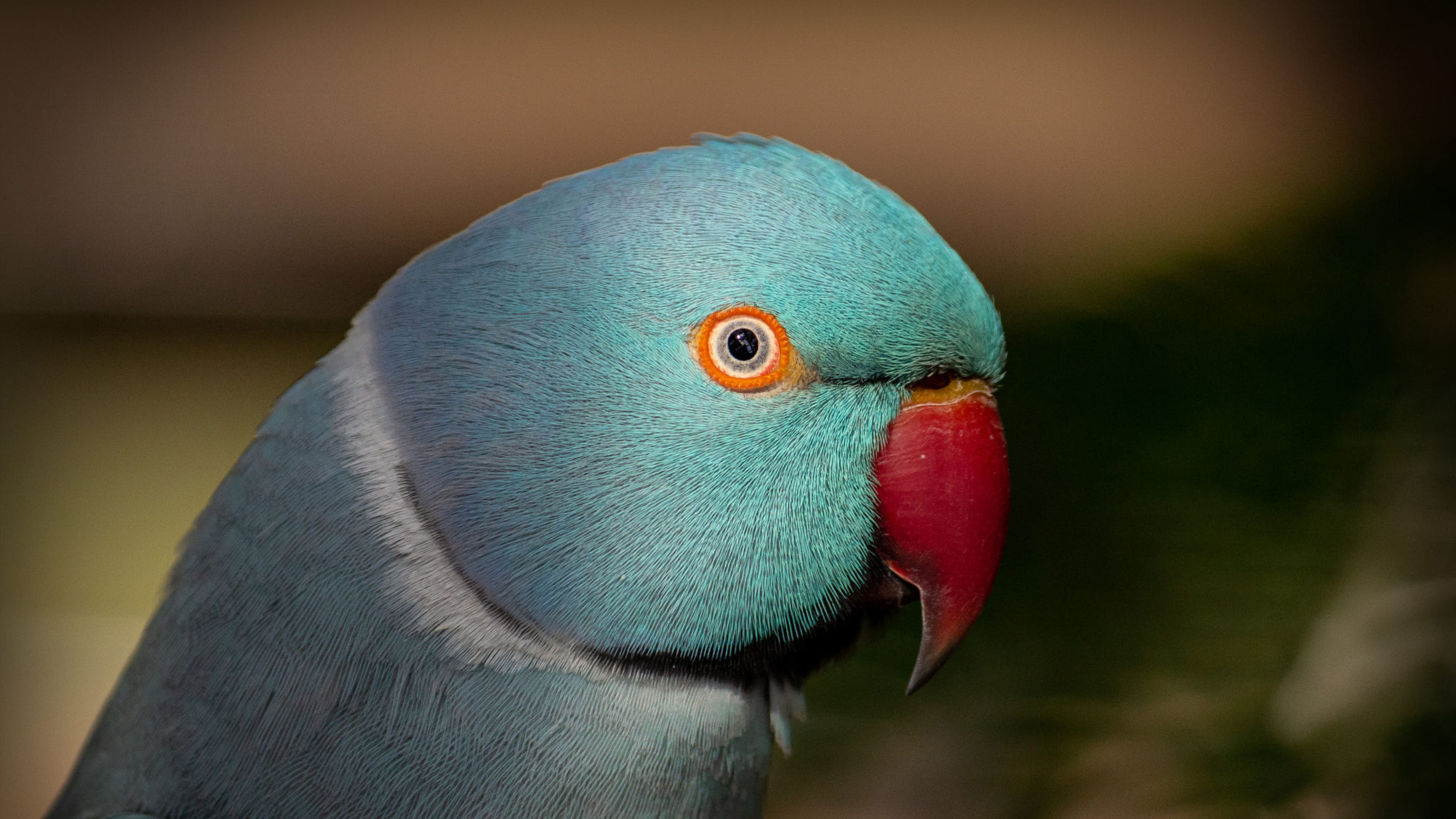 Sports cup，glass，vacuum cup，