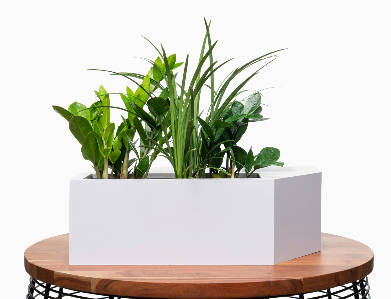 VALUES，Intelligent flowerpot，white，