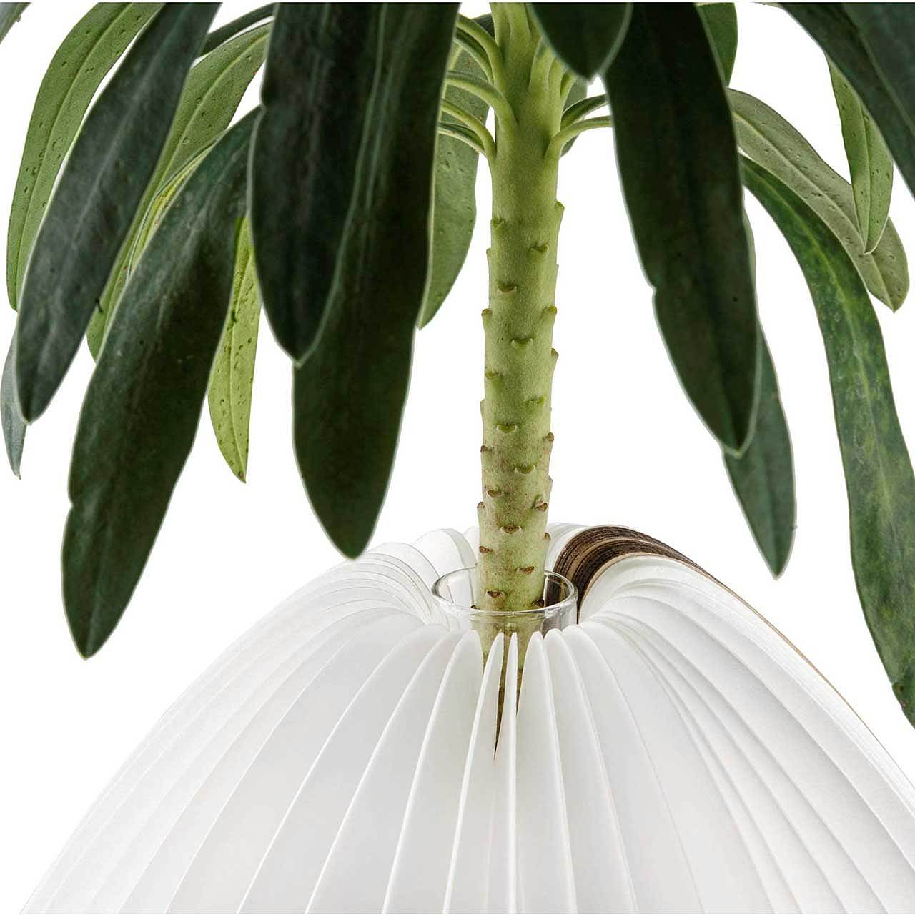 lamps and lanterns，vase，Aesthetic feeling，intelligence，