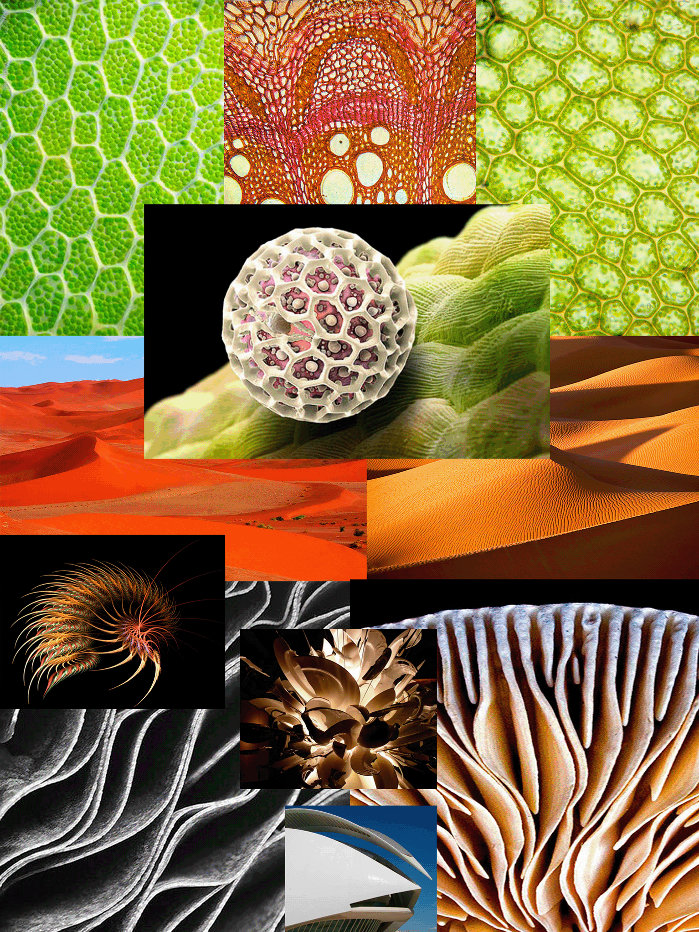 sneakers，comfortable，fashion，Cool，