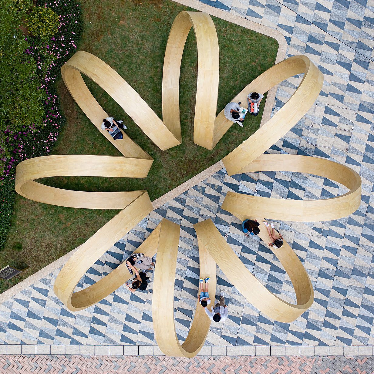 wooden ，Infinite loop，vitality，Hong Kong，