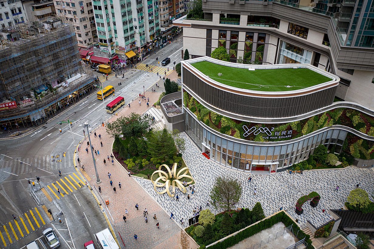 wooden ，Infinite loop，vitality，Hong Kong，