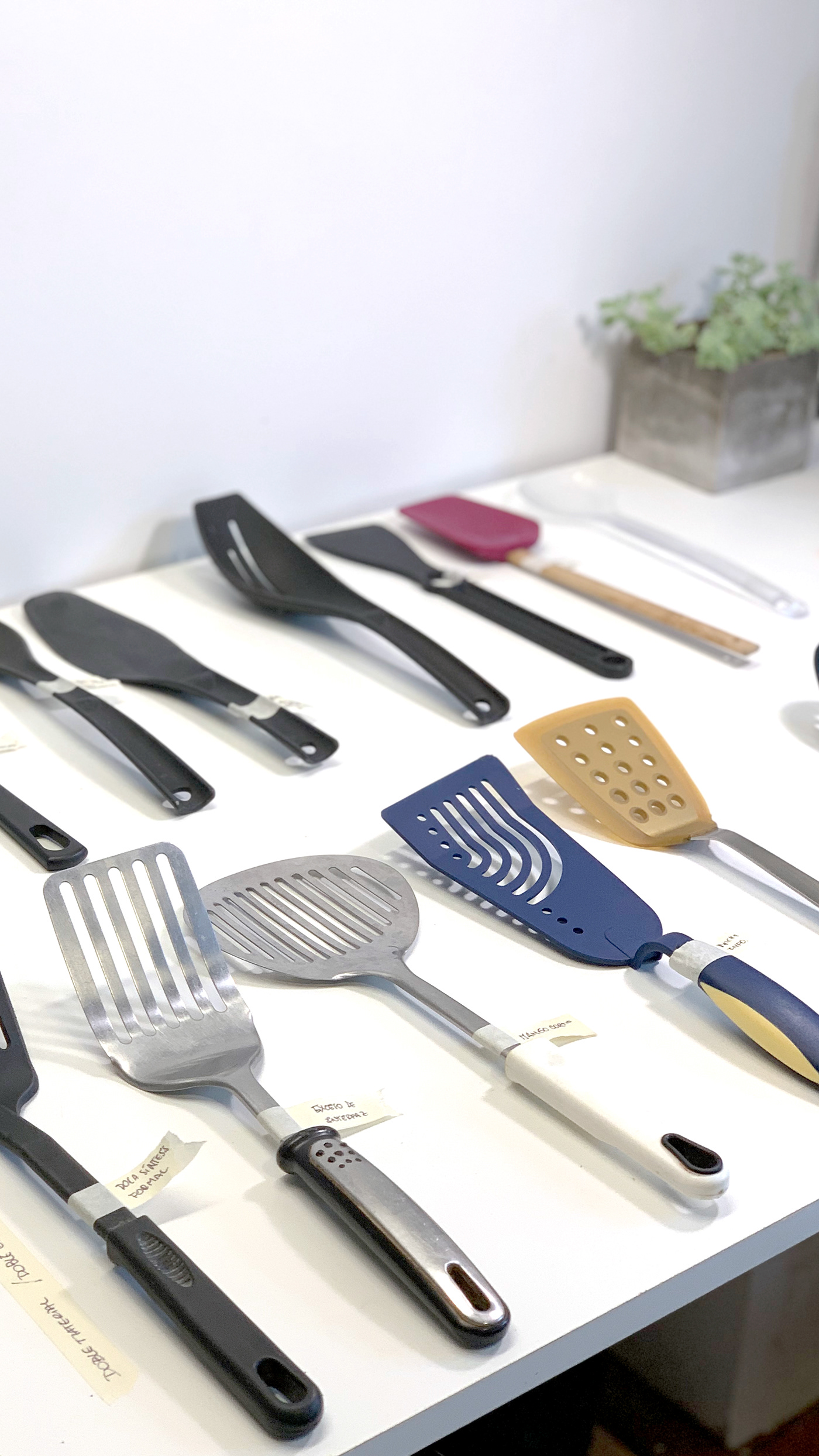 kitchenware，biodegradation，Ergonomics，modern，Simplicity，